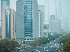 -上海市第六人民医院(临港院区)