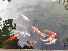 -鹅公村·国家非遗传承(荔湾店)