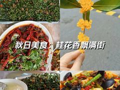 -金水泊山庄·花椒鸡(铁山坪店)