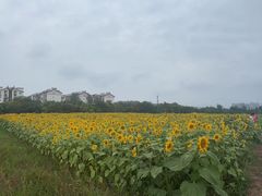 -宋记冕宁土菜馆(海门渔村二店)