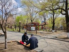 -东郊湿地公园