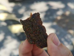 -都士牧人现烤牛肉干