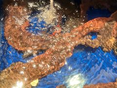 -海景壹号大酒店(滨湖店)