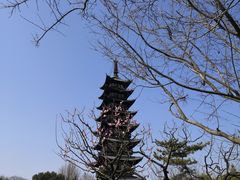 -上海方塔园