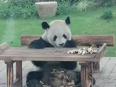 -无锡动物园·太湖欢乐园