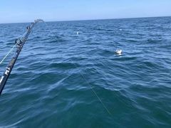 -新加坡海鲜共和(名胜世界圣淘沙海滨坊)