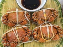 -蟹天蟹地农家菜·阳澄湖大闸蟹(浅水湾店)