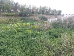 -鉴湖国家城市湿地公园