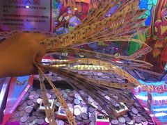 -汤姆熊欢乐世界(滨江店)