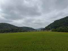 -南泥湾风景区