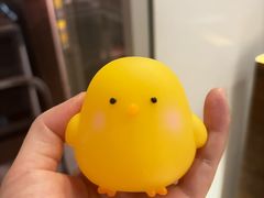 -同仁四季椰子鸡(福田车公庙店)