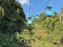 -野象谷景区