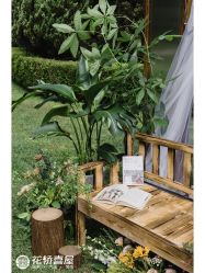 -花轿喜屋婚礼策划