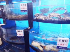 -莆鑫海鲜城(浏河店)