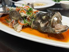 -梅龙镇酒家(南京西路总店)