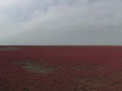 -红海滩国家风景廊道