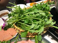 益母草-围炉夜话·潮汕卤水火锅(榕江店)