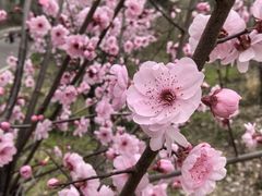 -青龙山国家森林公园