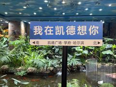 -凯德广场(学府店)
