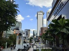 -新加坡乌节希尔顿酒店 (SG Clean)