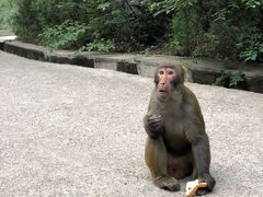 -北京上方山国家森林公园