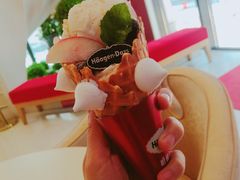 -哈根达斯(扬州瘦西湖店)