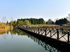 -溱湖国家湿地公园