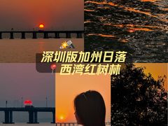 -宝安西湾红树林湿地公园