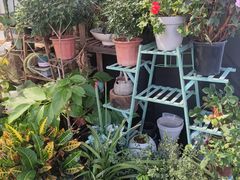 -FEI FEI FLOWER鲜花店·气球派对·宝宝宴布置(虹口德必运动Loft店)