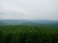 -塞罕坝国家级自然保护区