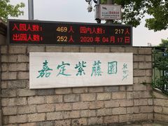 -嘉定紫藤园