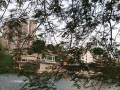 -荔湾湖公园