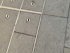 -探鱼·鲜青椒爽麻烤鱼(北京路天河城店)