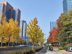 -初晋·山西地道刀削面.晋北莜面香(星耀城店)