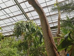 -呀路古热带植物园