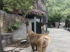 -河南宝泉旅游区
