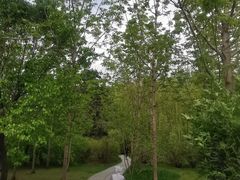 -长春公园(普阳街道)