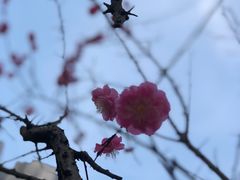 -重庆彩云湖湿地公园