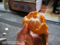 -降龙爪爪(建设路1店)