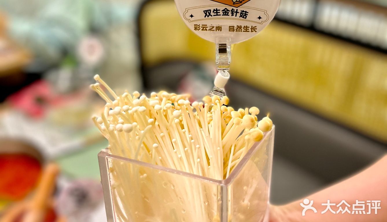 深圳美食｜新年薅羊毛！吃火锅送熊猫🐼