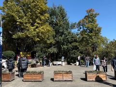 -天龙八部武侠城