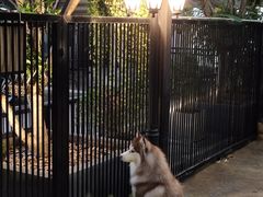 -TrueLove @ Neverland (Husky Cafe)