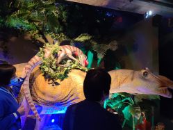 -恐龙探索乐园(磁器口店)