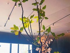 -SHAN山(前滩太古里店)