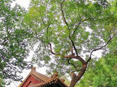 -北京国子监胡同