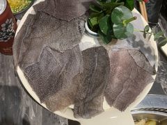 精品毛肚-小王少龙火锅(沙南街店)