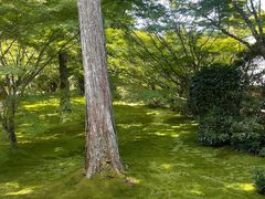 -三千院