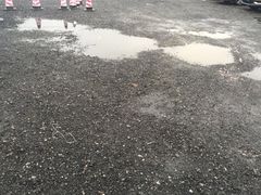 -迪士尼乐园停车场