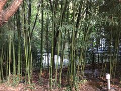 -竹泉村旅游度假区