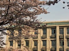 -武汉大学-樱园